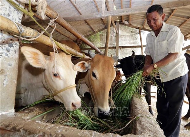 Tra Vinh dépensera 64,2 millions de dollars pour améliorer la vie des minorités ethniques